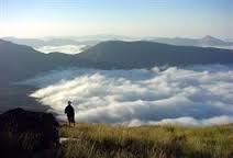 طوماري سرشار از تناقض 